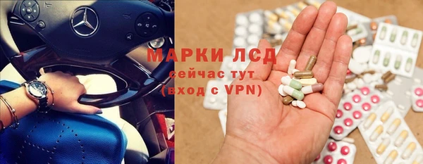 хмурый Белокуриха