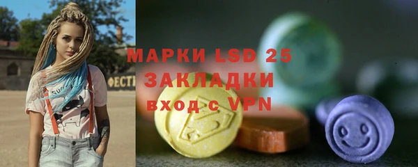 стаф Богданович
