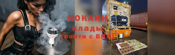 стаф Богданович